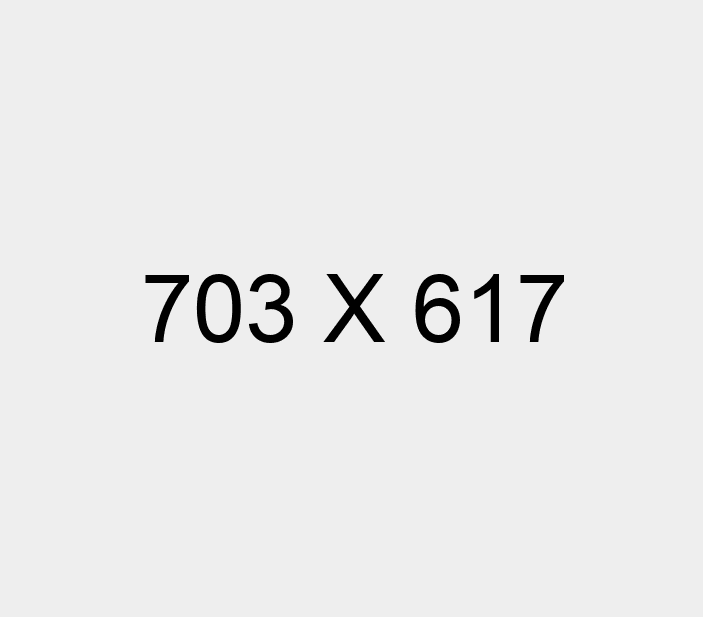 ROOF10X Orlando roofing
